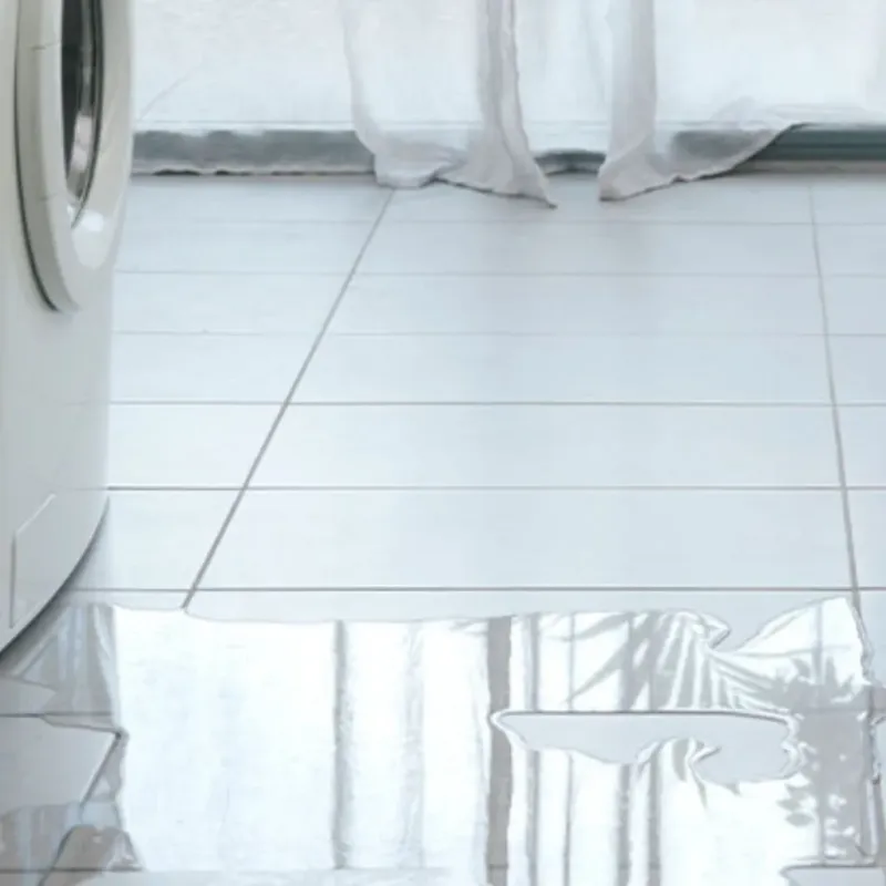Appliance Leak Cleanup in Horizon City, TX